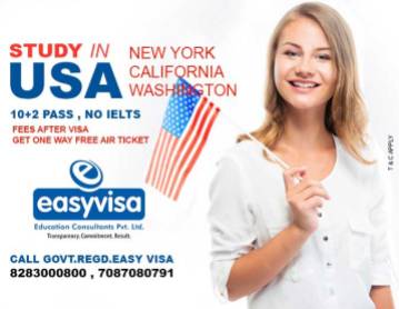 usa-visa-advisor